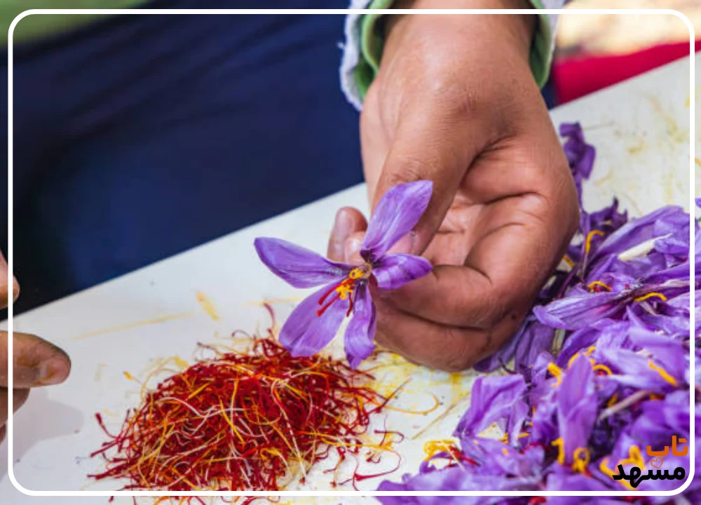 زعفران