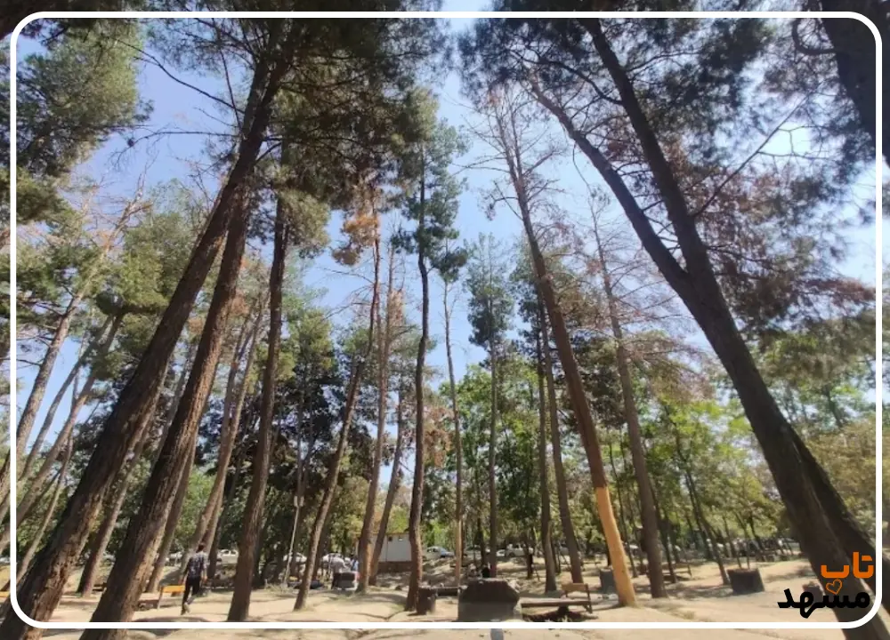 پارک وکیل اباد